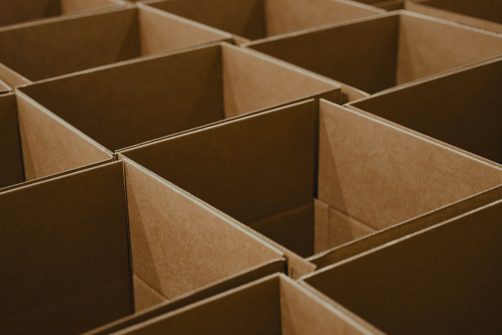 Rows of open shipping boxes